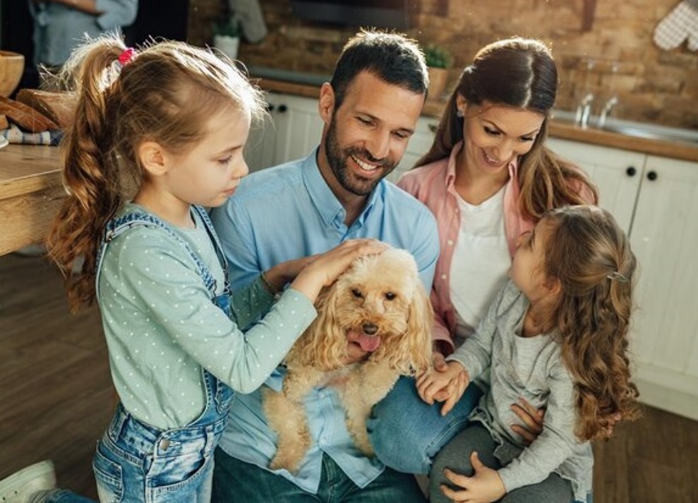 Ahora en las familias multiespecie, los animales de estas podrán ser considerados como un miembro más de la familia